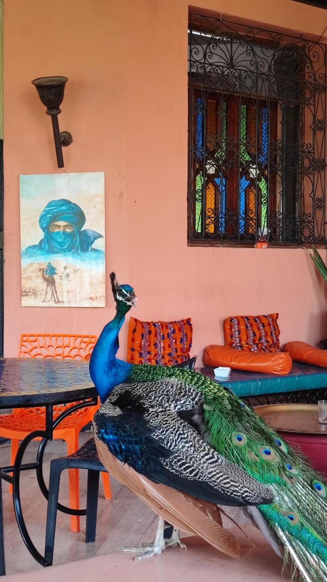 Las Palmeras Guest House Douar Caïd Layadi Екстериор снимка